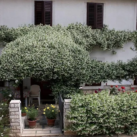 Anamarija Near The And The Fantastic Adria Sea With Over 10 Small Islands Close By Guest house